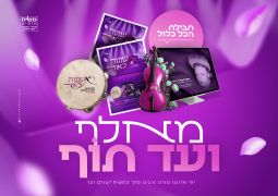 חלום של כל שליחה: עוד מהפכה מבית משיח אופיס